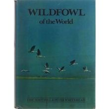 Wildfowl Of The World