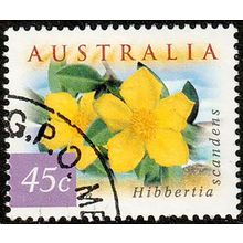 Australia 1999 Flowers 45c Used P&S Stamp Hibbertia 14.25 Perf.