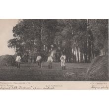 Petite Russie Little Russia Hay Making Farming Antique Postcard