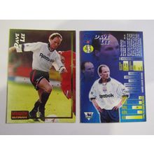 43. Dave Lee - Bolton - Merlin Ultimate P. L 1995/96 Football Card (ef1)