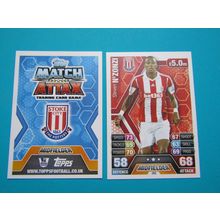 266. Steven N`Zonzi - Stoke City - Match Attax 2013/14 Football Card EF1