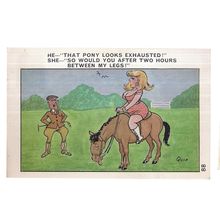 A SAPPHIRE CARD seaside humour by Quip used postcard no 88 1974 postmark pony