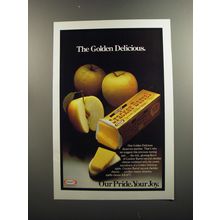 1979 Kraft Cracker Barrel Cheese Ad - The Golden Delicious