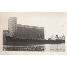 Tito Campanella Italian Bulk Carrier Ship Vintage Rare Photo