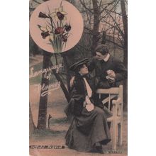 Language Of Flowers Daffodil Forest Bench Romance Old Postcard