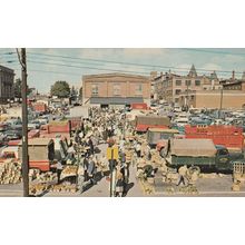 Kitchener Farmers Market Ontario Canada Canadian Postcard