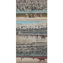 Courses De Taureaux 3x Bullfighting Killed Bull Old Postcard