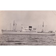MS Tunis Greek Swedish America Line DFDS Ship RPC Postcard