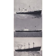 SS Eemdyk Kinderyk Duivendyk 3x Holland to America Line Ship Postcard s