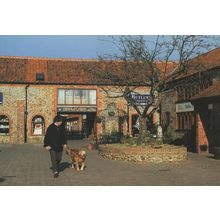 Man Walking Dog at Butlers Bakers Pantry Holt Norfolk Postcard