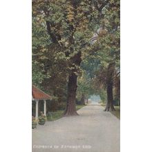 Ranelagh London Sailing Club Entrance Path Antique WW1 Putney 1915 War Postcard