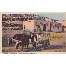 New Mexico Pueblo Laguna Old Caretta Oxen Albuquerque Indian Transport Postcard
