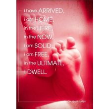Here And Now - Tree Free Greeting Card - 12852