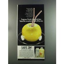 1982 Tropicana Grapefruit Juice Ad - Fresh Off the Tree