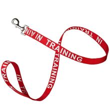 Reflective "IN TRAINING" Leash W 1" x L 72" - Red