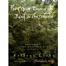 The Most Beautiful Roof in the World - Exploring the Rainforest Canopy