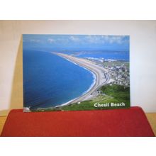 CHESIL BEACH, DORSET. unused postcard by J. Salmon =