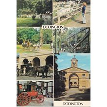 Dodington Gloucester Childrens Amusements Slide Animals 2x Postcard