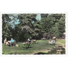 The Tea Gardens Litlington Postcard East Sussex