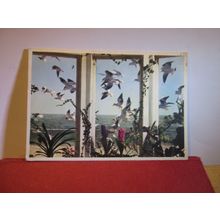 SEAGULLS FROM A WINDOW by Kurt Hutton unused vintage postcard art bird =