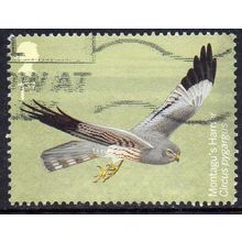 GB 2022 Migratory Birds - Montagu's Harrier 1st Used