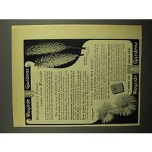 1949 Wayside Gardens Ad - Tritoma & Hardy Aster