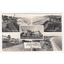 The Otterbourne Hotel Budleigh Salterton Postcard 1960 Devon