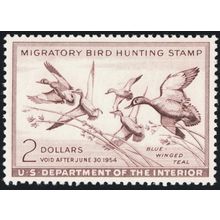 RW20, Mint XF/Superb NH $2 Duck Stamp - PSAG Graded 95 * Stuart Katz