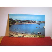 THE BAY, CULLERCOATS, Northumberland unused postcard Coulourmaster =