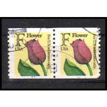 Used 2518 29c F Flower Very Fine CNP Left 1211 PA1211
