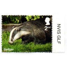 2025 Garden Wildlife 1st Value. Badger.Fine Used.