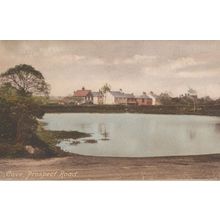 Prospect Road Cove Scottish Borders Antique Postcard