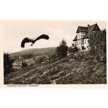 Berlebeck Hotel Eagle Real Photo Antique German Postcard