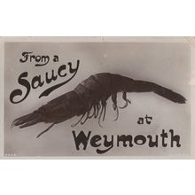 Saucy Weymouth Dorset Antique Fish Lobster Real Photo Postcard