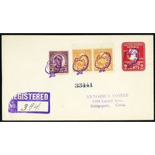 Turkey in Blue Nice Strikes Fancy Cancel Registered Cover - Stuart Katz