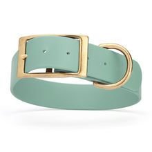 Dog Pet Collar with Brass Hardware Size XL W 1.5” L 20” - 24” Sage Green