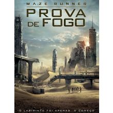 Maze Runner - Prova de Fogo Poster Canvas Movie Film Print A0 A1 A2 A3 A4 A5 A6