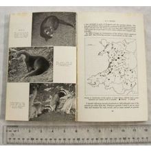 1970 Welsh Wildlife in Trust by W. S. Lacey