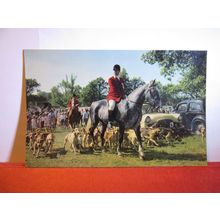 HUNTING WITH HOUNDS unused postcard by J. Salmon #