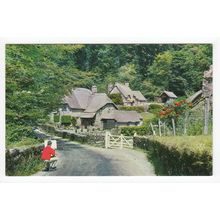 Buckland-in-the-Moor Postcard Devon PT1959