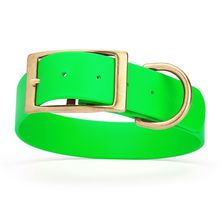 Dog Pet Collar with Brass Hardware Size L W 1.5” L 16” - 20” Tropical Green