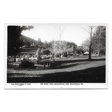 Postcard Australia Victoria Healesville Maroondah Lake picnic area Rose Series