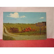 AMISH FARM, PENNSYLVANIA, USA used American postcard 1977 pm/