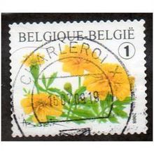 BEL 2008 (54c)(S/A) 'FLOWERS-TAGERTES PORTULA' FINE USED (EBID10-459)