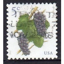 USA 2017 Fruit Definitive - Grapes 5c Used