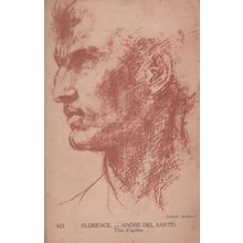 Florence Andre Del Sarto Painting Old Antique Postcard