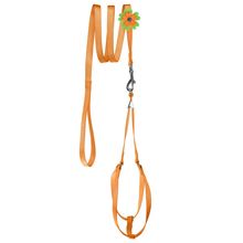 Mesh Step-In Nylon Harness + Flower Leash Orange 17-21"