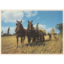 Loading The Sheaves Leavenheath Farm Suffolk Farming Postcard