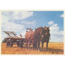 Building The Hay Stack Daltons Farm Leavenheath Essex Postcard