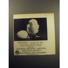 1957 Baltimore & Ohio Railroad Ad - Hatched.. along the B&O